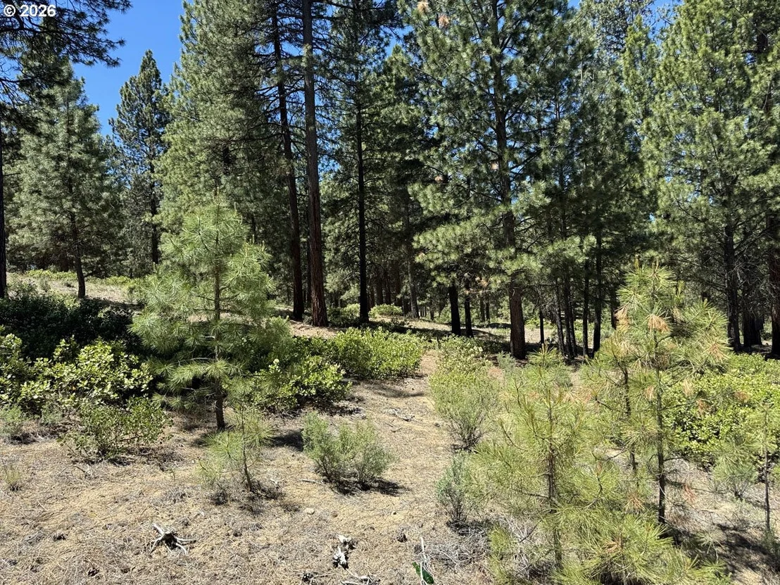 Photo of Unit 22 at Incline DR