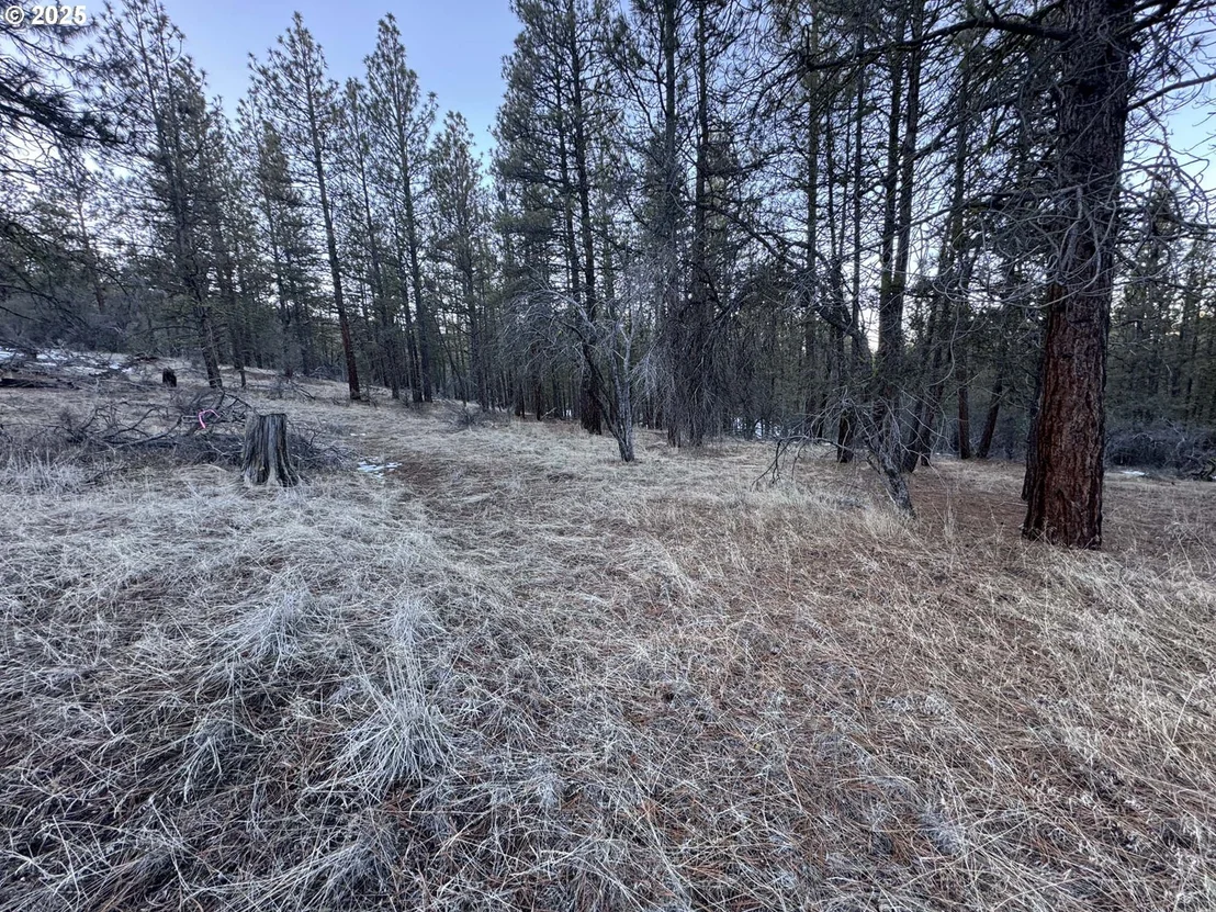 Photo of Unit LOT7 at Bobcat CIR