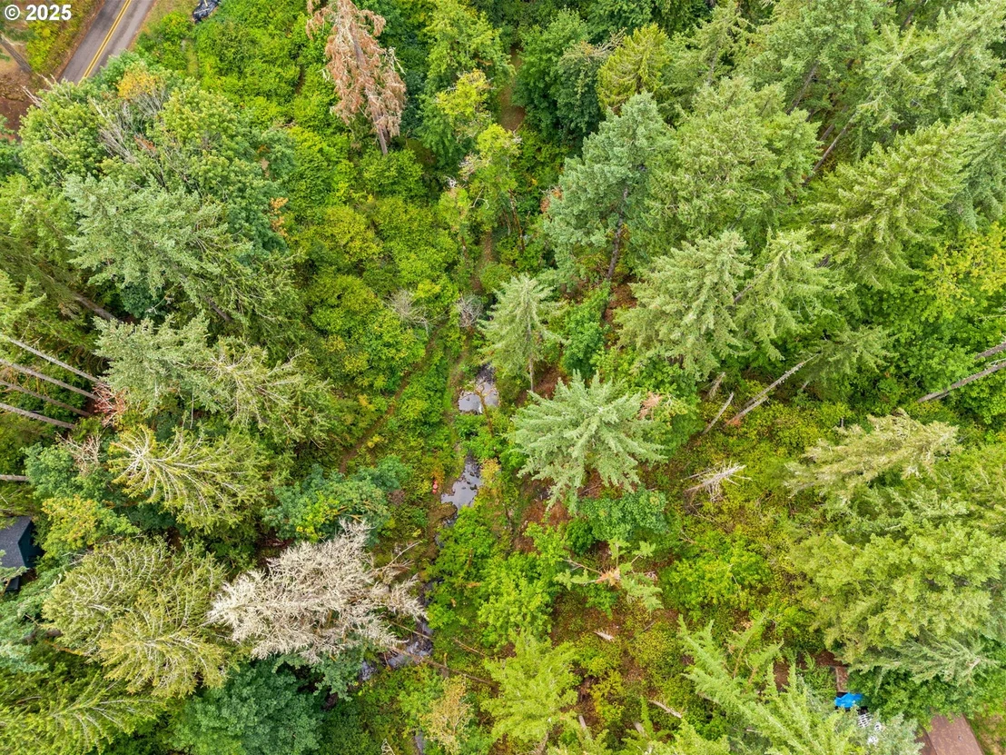Photo of 40153 BOOTH KELLY RD