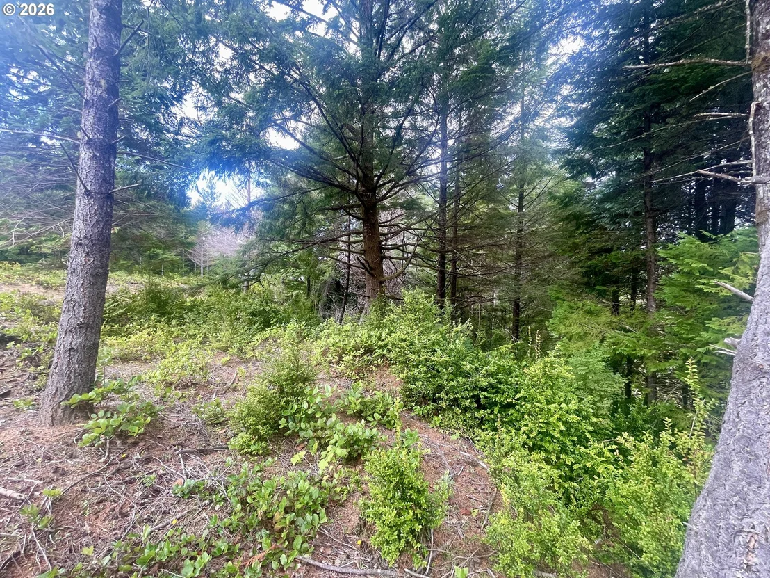 Photo of Unit LOT11 at Sandpoint RD