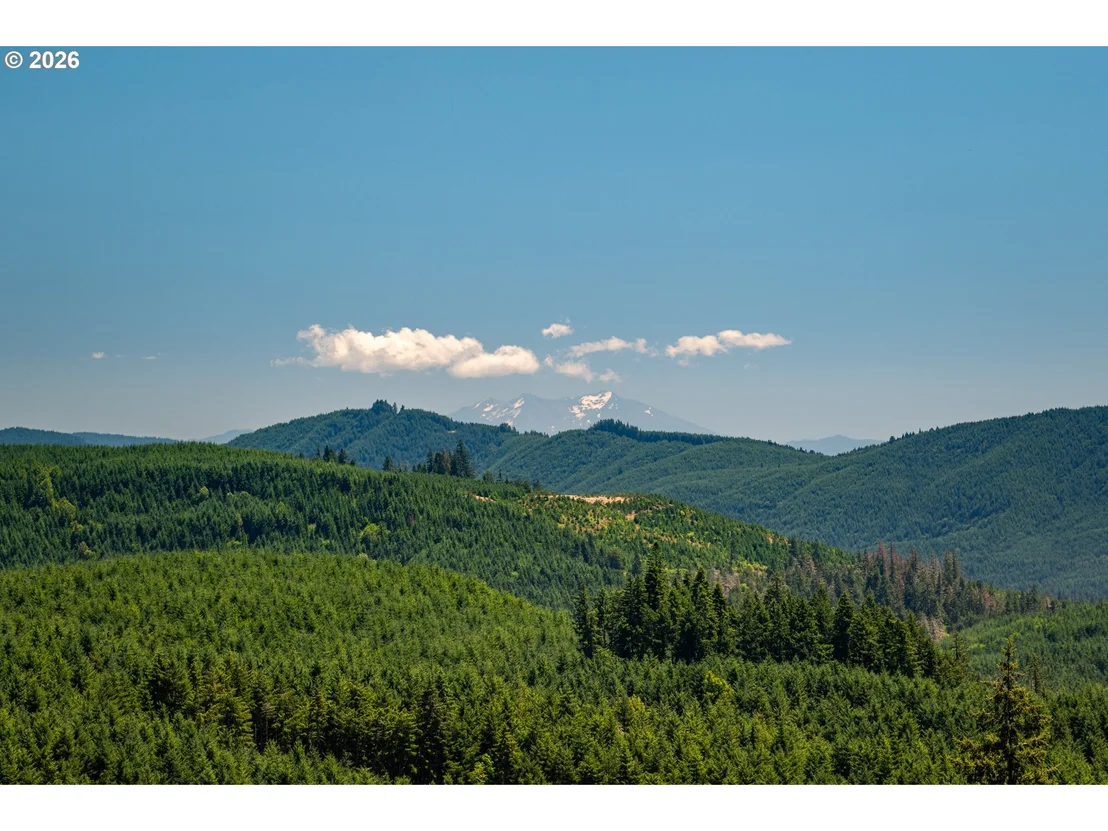 Photo of 86407 HOMESTEAD RD