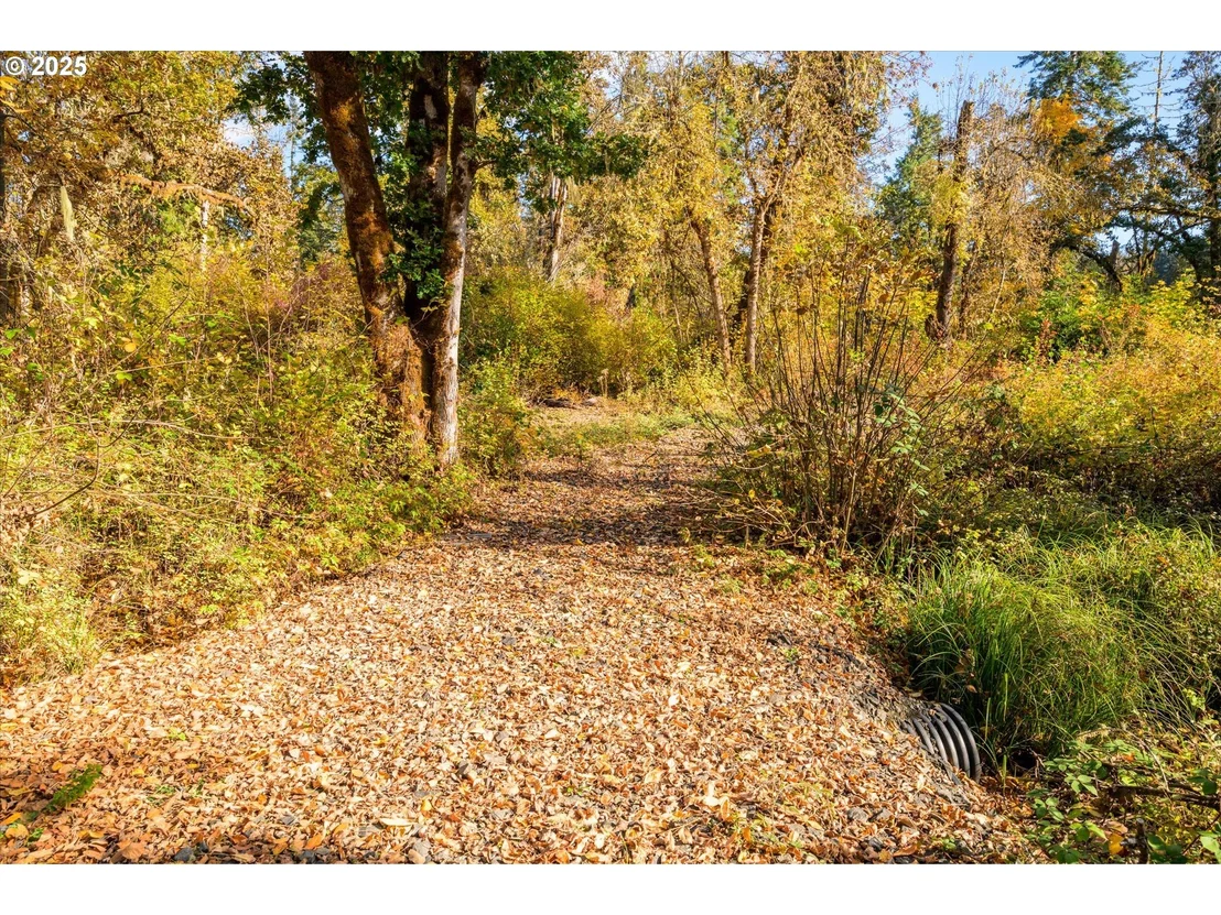 Photo of Siuslaw River RD
