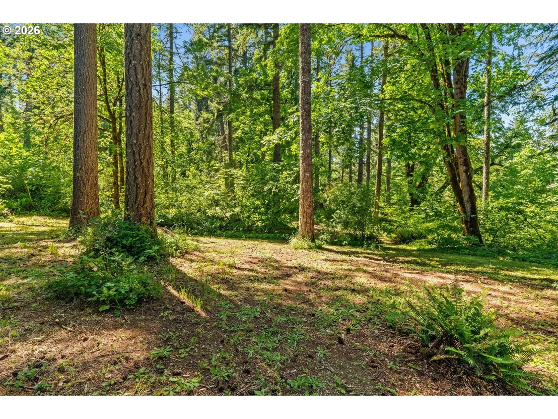 Photo of 81482 LOST CREEK RD