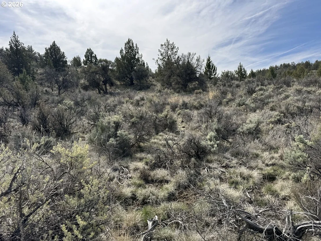 Photo of Unit 900 at Off HWY 140