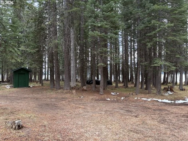 Photo of 80 DIAMOND LAKE LOOP