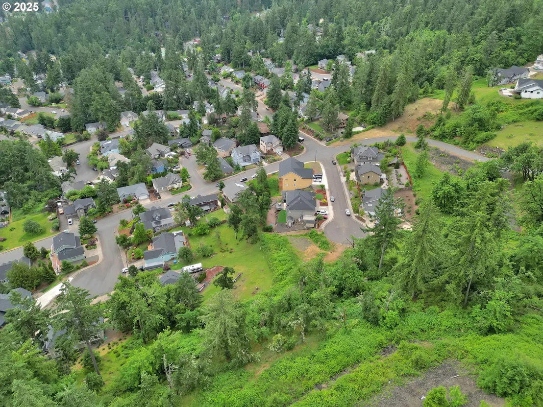 Photo of Forest Ridge