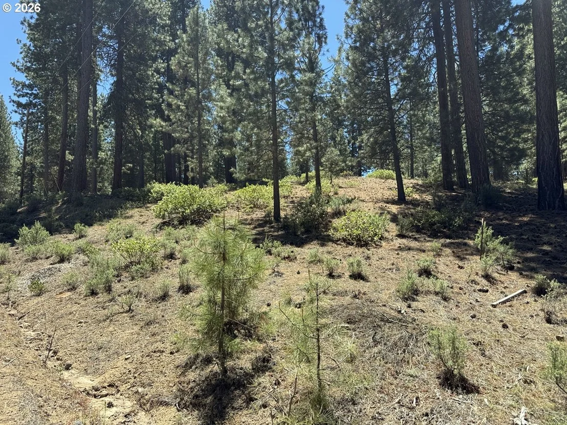 Photo of Unit 22 at Incline DR