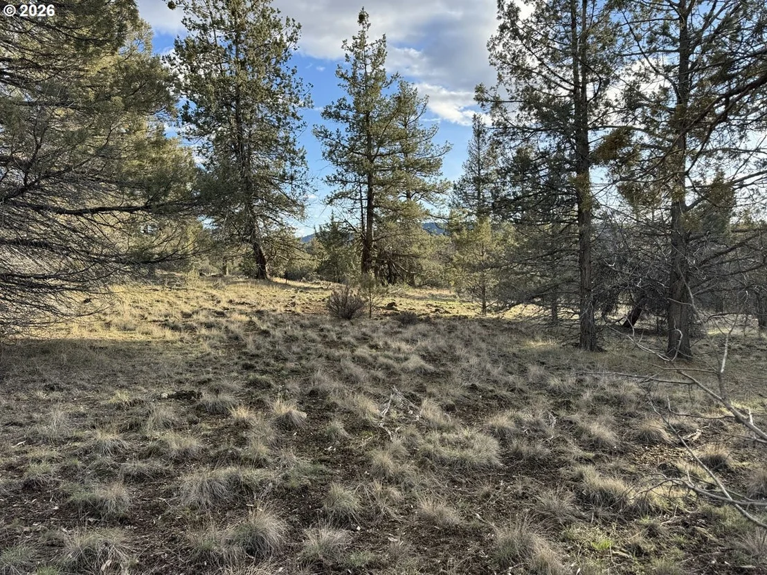 Photo of Unit 36 at Canvasback DR