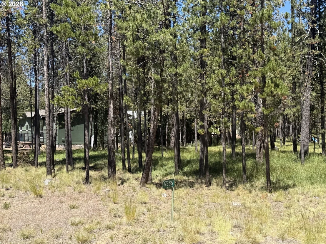 Photo of 17386 GOLDEN EYE DR
