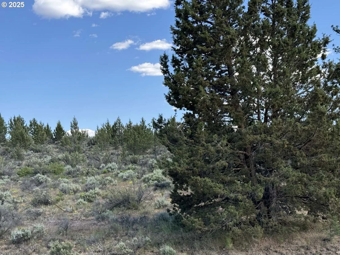 Photo of Unit 300 at HWY 140