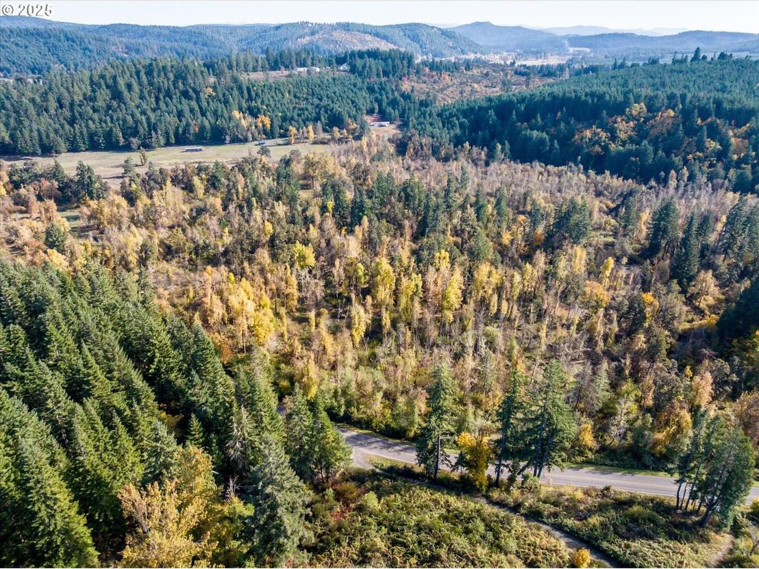 Photo of Siuslaw River RD