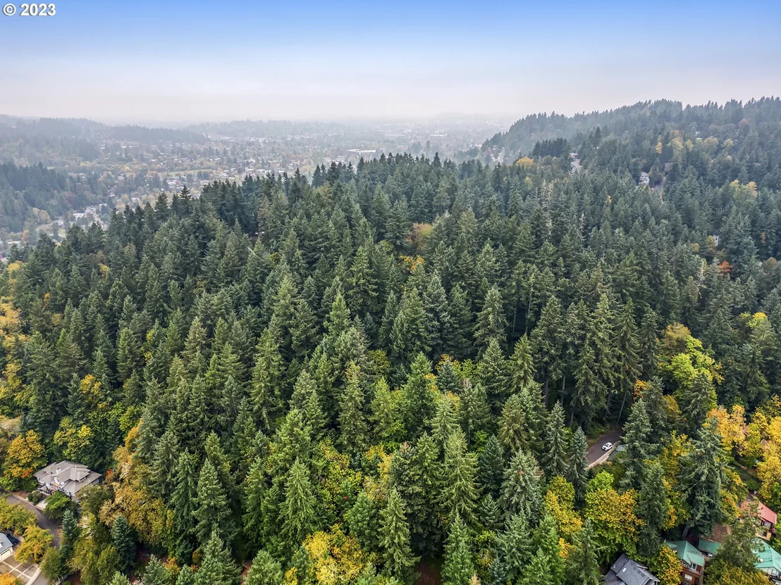 Photo of N Shasta Loop