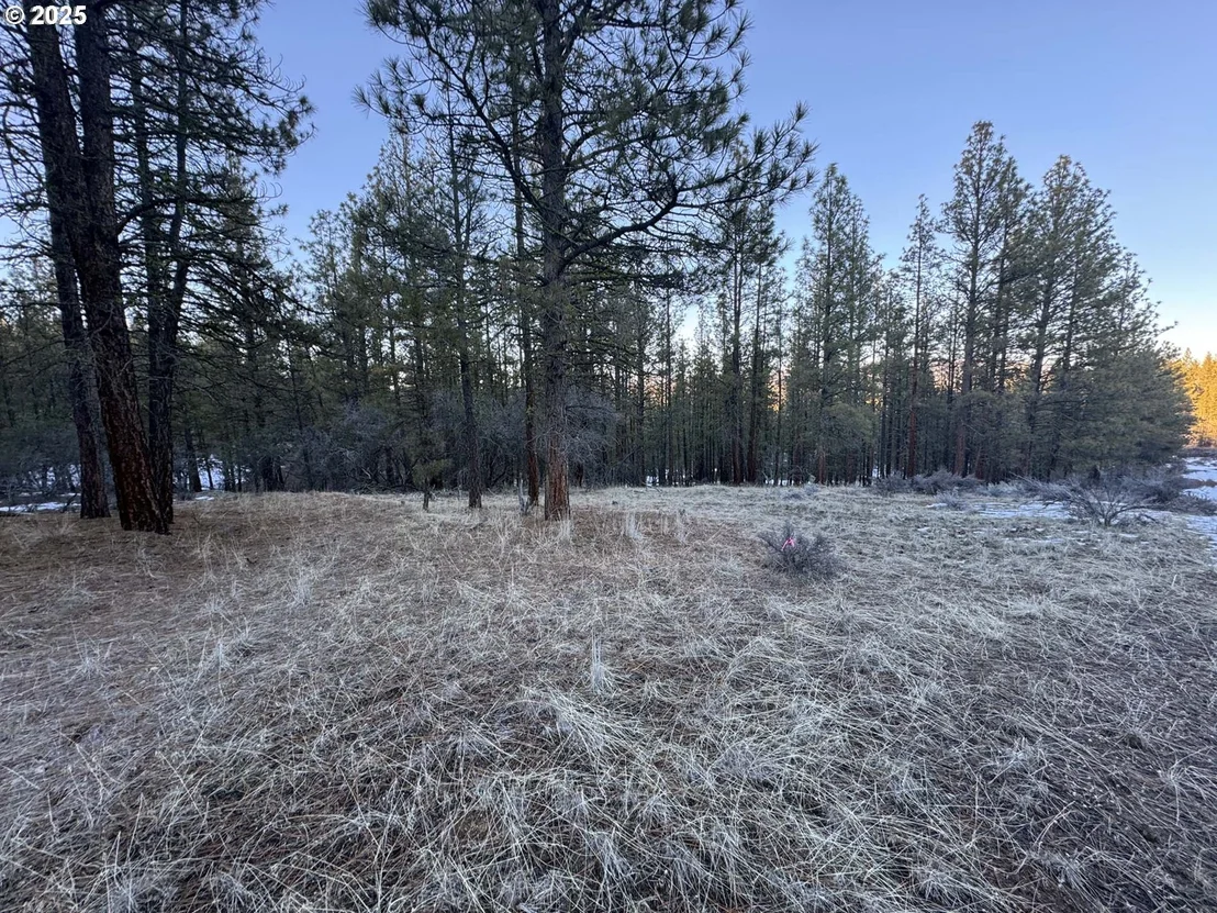 Photo of Unit LOT7 at Bobcat CIR