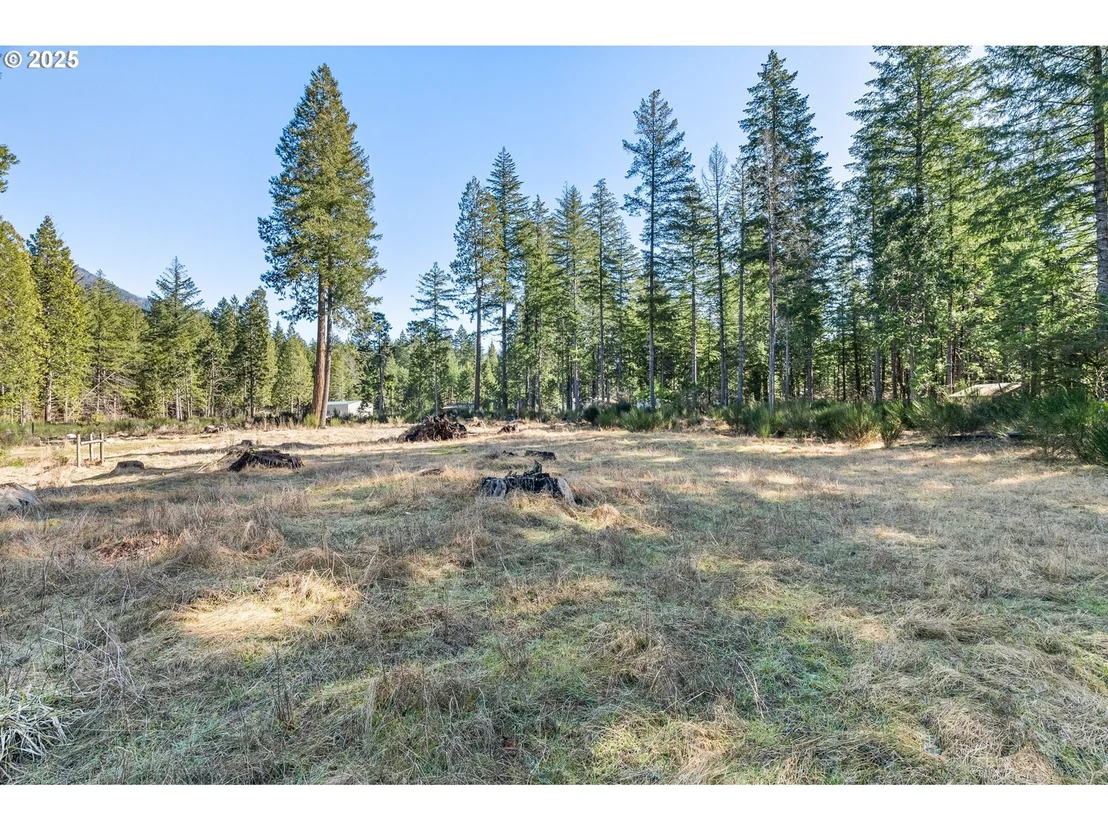 Photo of Alma DR
