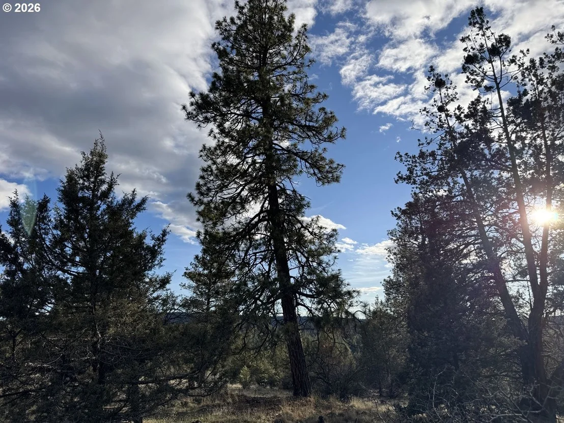 Photo of Unit 36 at Canvasback DR