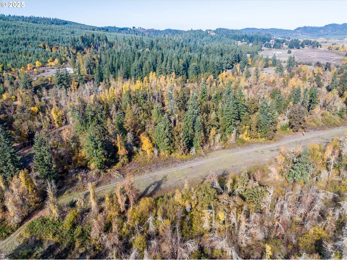 Photo of Siuslaw River RD