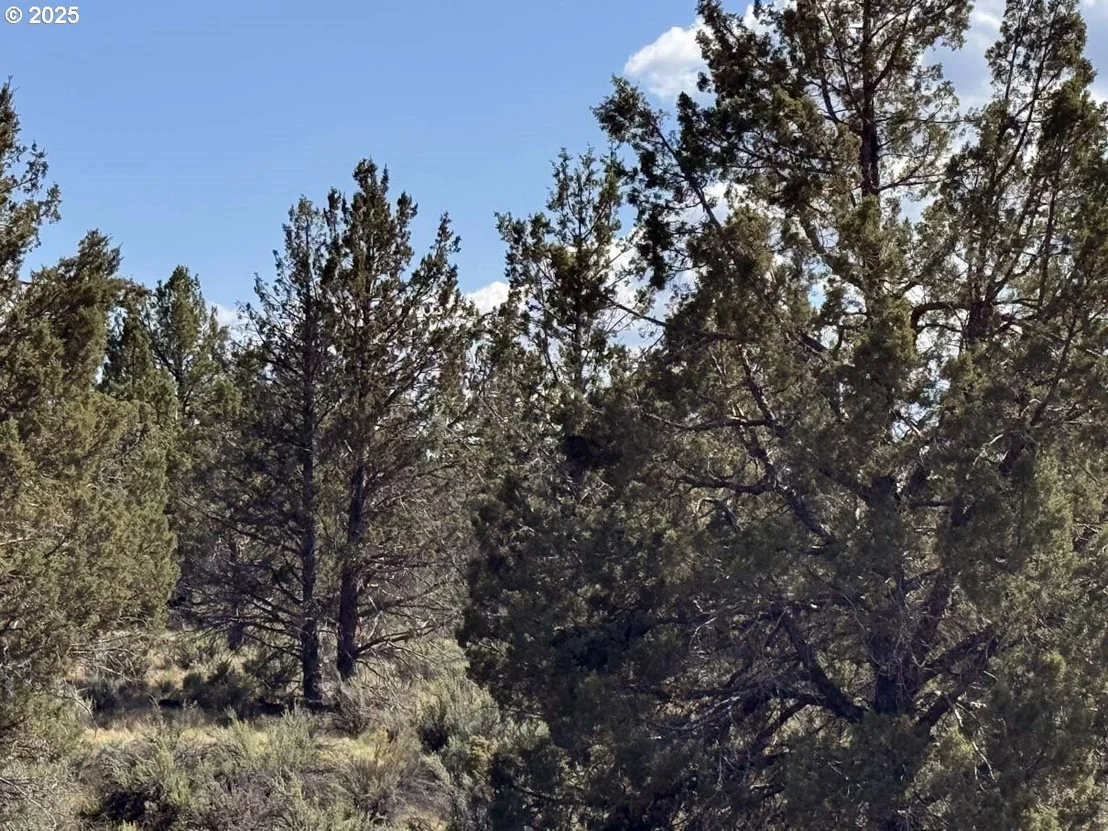 Photo of Unit 300 at HWY 140