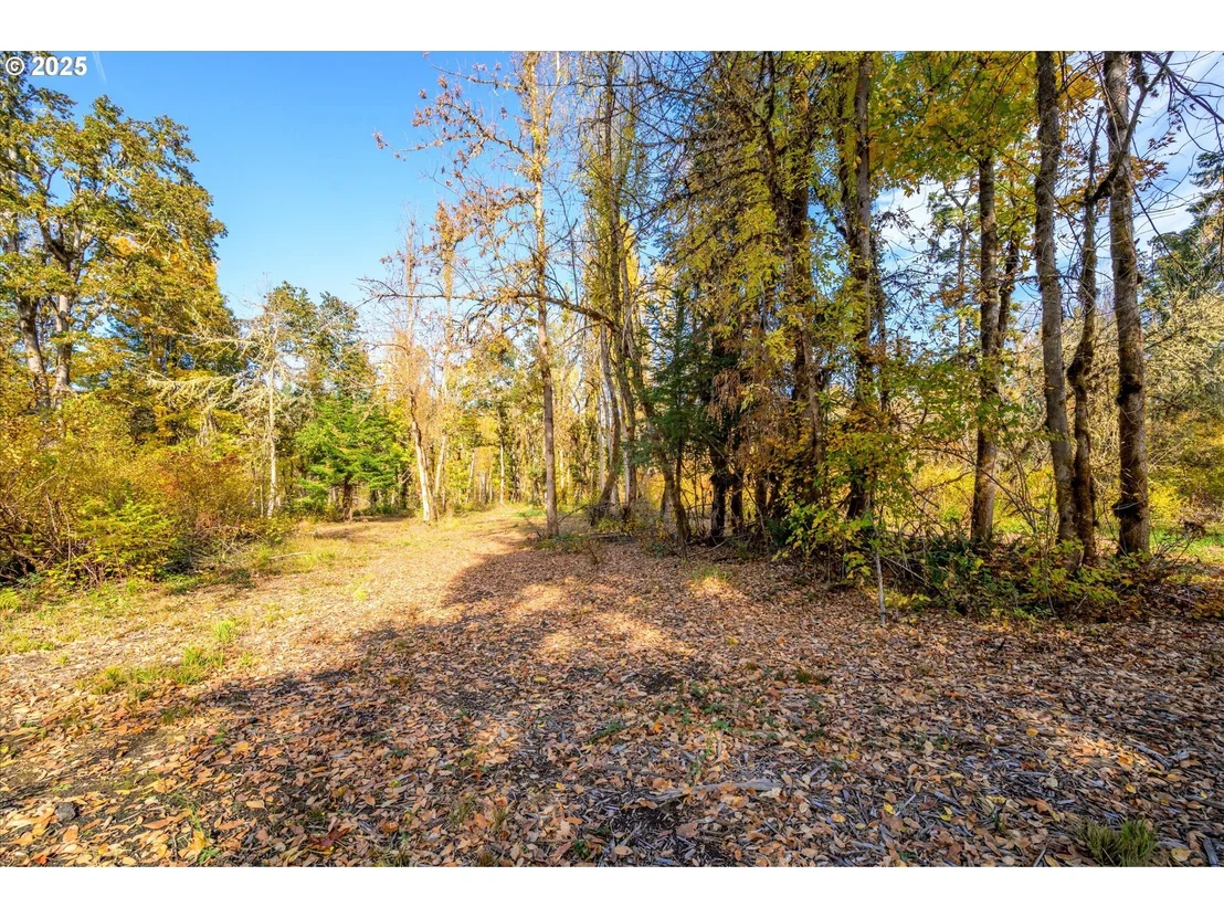 Photo of Siuslaw River RD