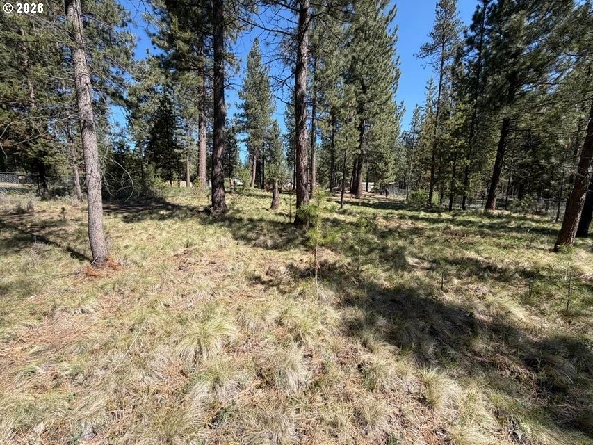 Photo of 17019 UPLAND RD