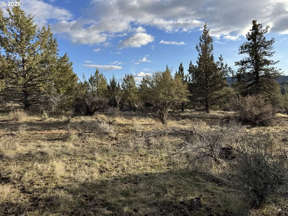 Photo of Unit 36 at Canvasback DR