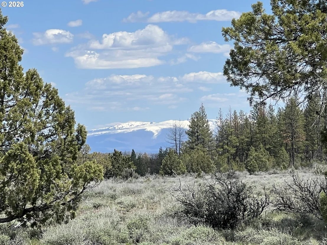 Photo of Unit 6 at Wildpine Way