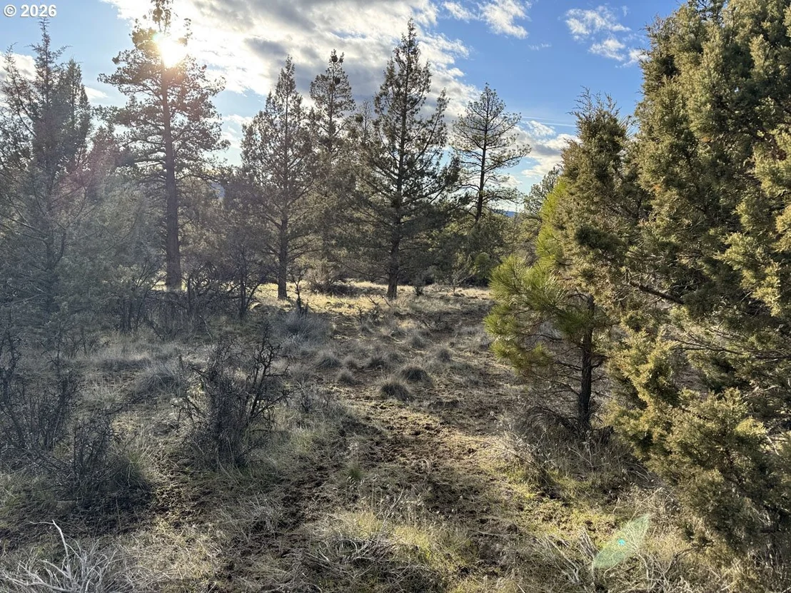 Photo of Unit 36 at Canvasback DR