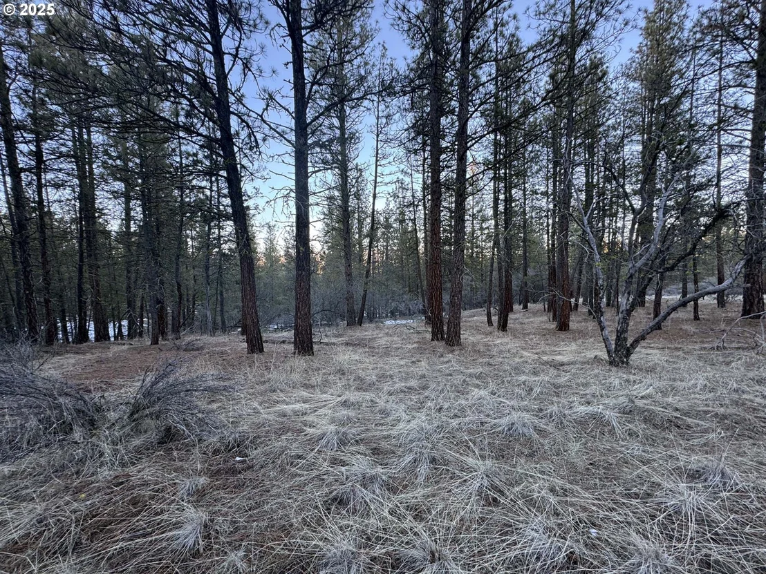 Photo of Unit LOT7 at Bobcat CIR