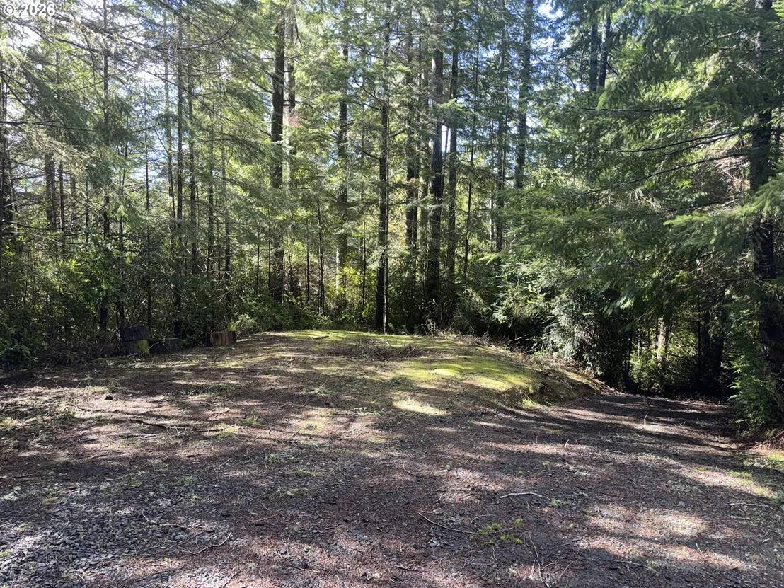Photo of 72294 POTLATCH RD