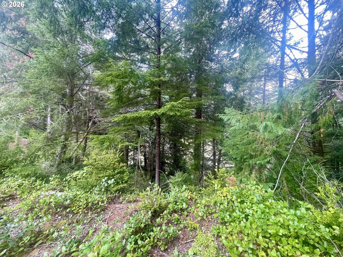 Photo of Unit LOT11 at Sandpoint RD