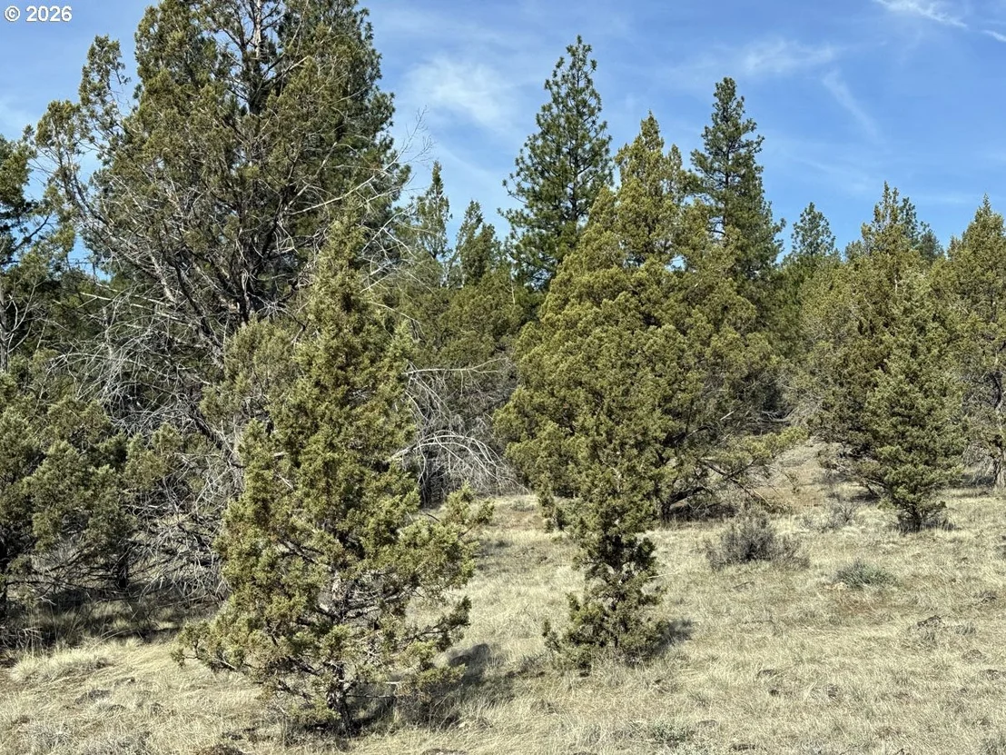 Photo of Unit 1100 at Yellow Jacket Spring RD