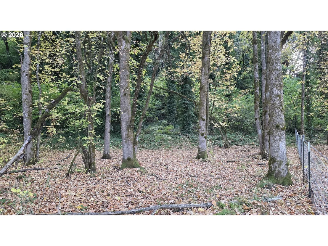 Photo of 93146 APPLEGATE TRL