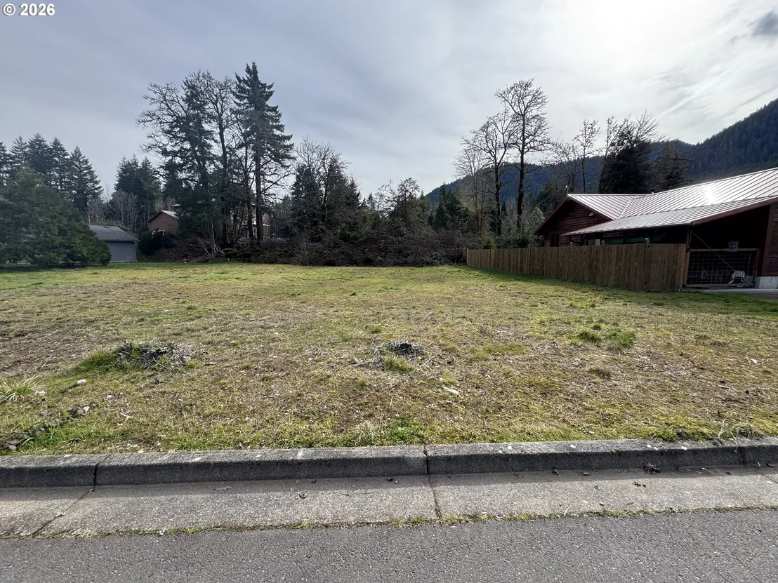 Photo of 48448 ROARING RAPIDS WAY