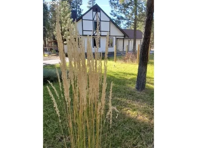 Photo of 14741 N SUGAR PINE WAY