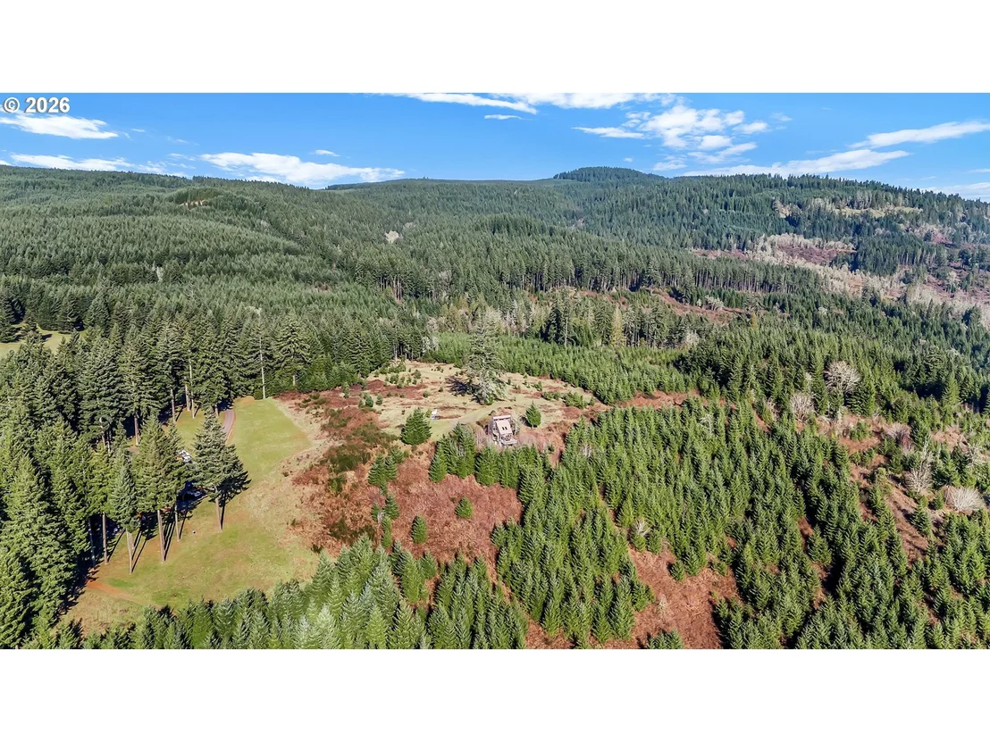 Photo of 88901 MCKENZIE ACRES DR