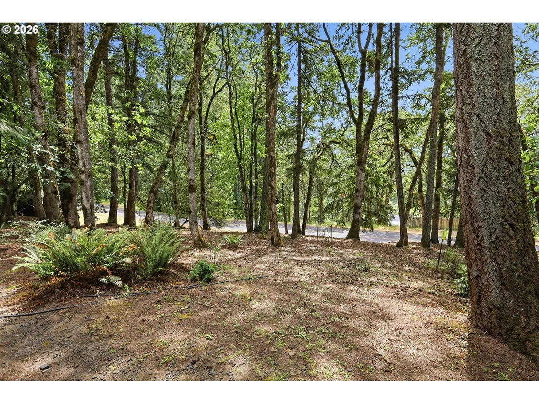 Photo of 4650 OLD DILLARD RD