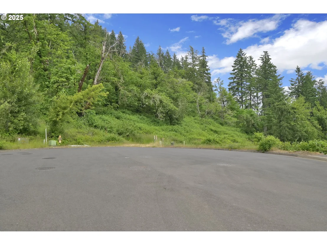 Photo of Forest Ridge