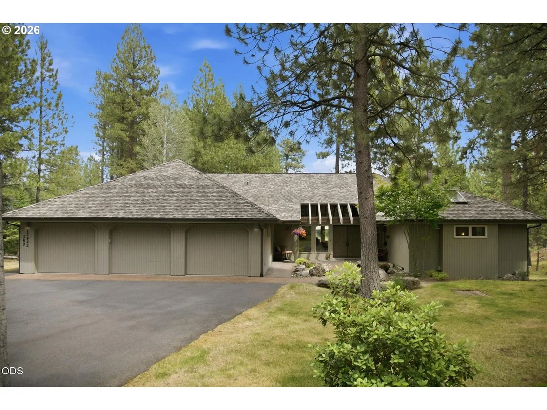 Photo of 13442 Galium