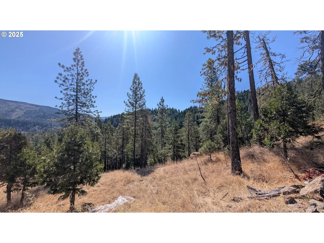Photo of 900 OLD CABIN DR