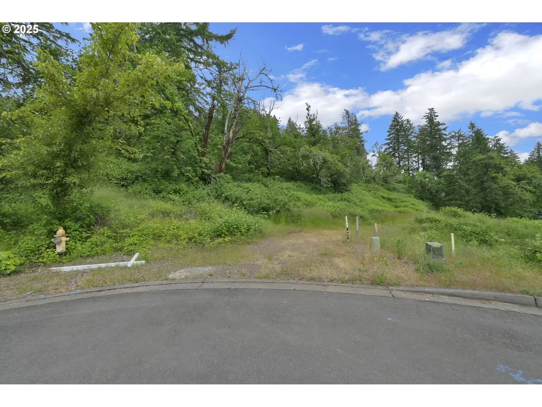 Photo of Forest Ridge