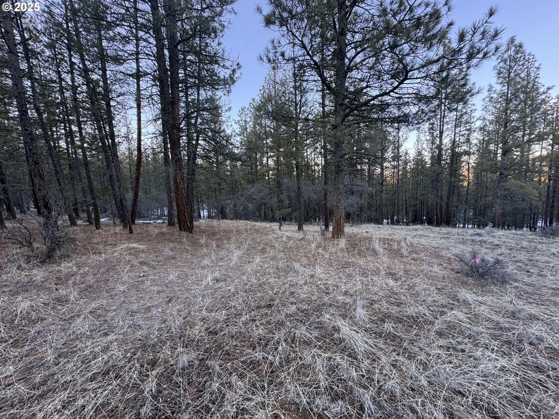 Photo of Unit LOT7 at Bobcat CIR