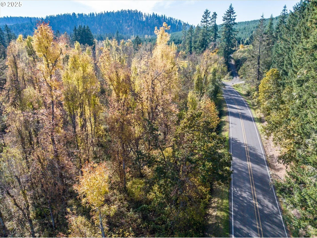 Photo of Siuslaw River RD