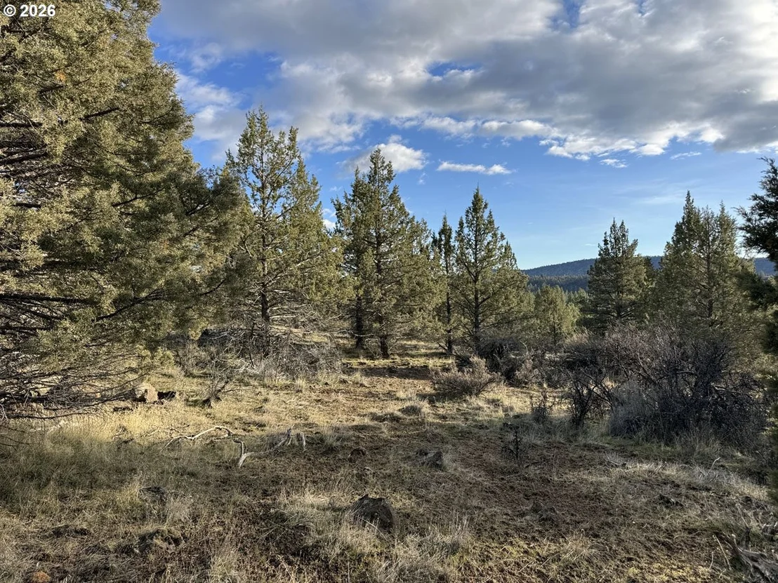 Photo of Unit 36 at Canvasback DR