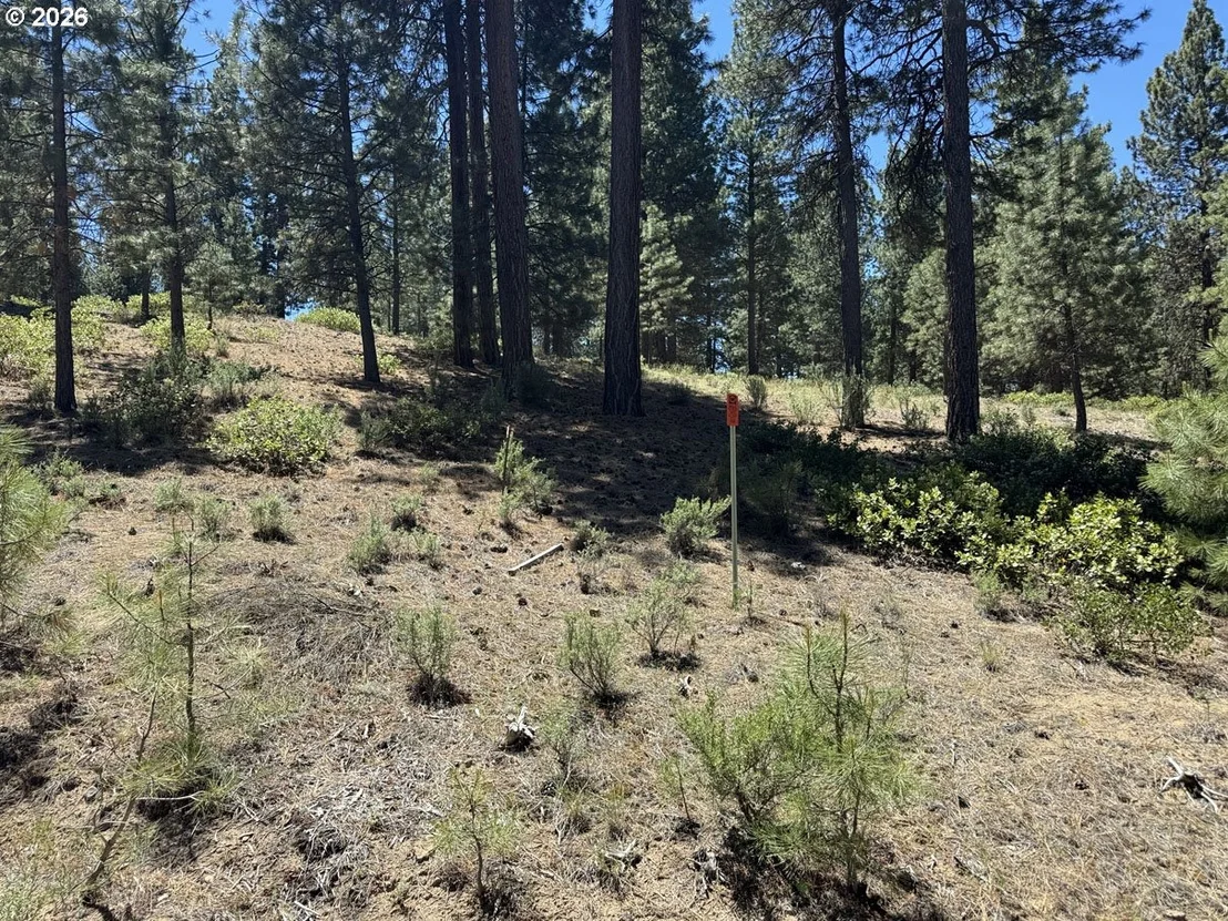 Photo of Unit 22 at Incline DR