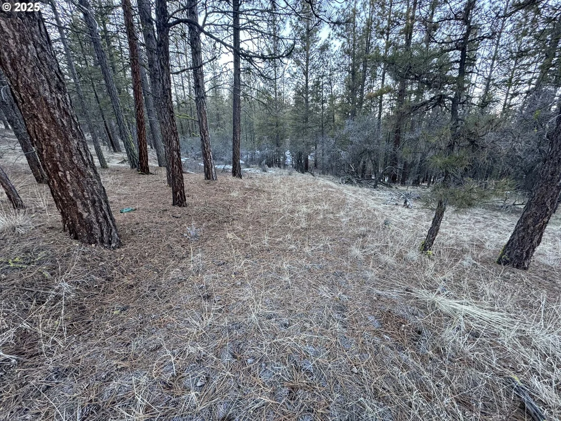 Photo of Unit LOT7 at Bobcat CIR