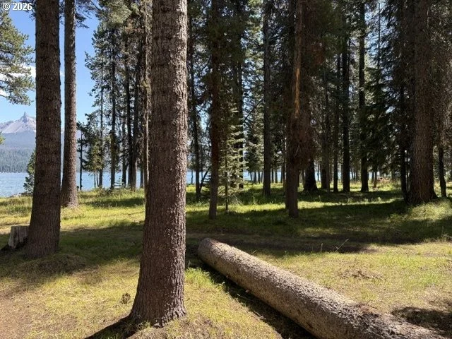 Photo of 97 DIAMOND LAKE LOOP