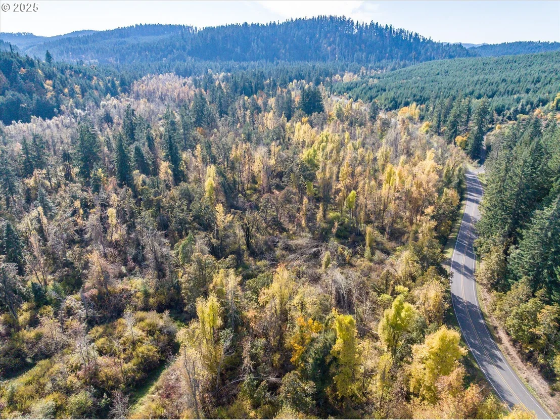 Photo of Siuslaw River RD
