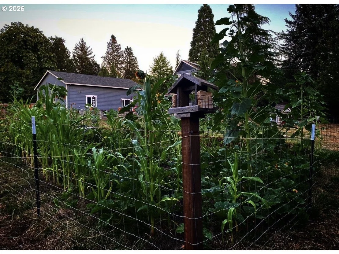 Photo of 24305 NE HIGHWAY 240