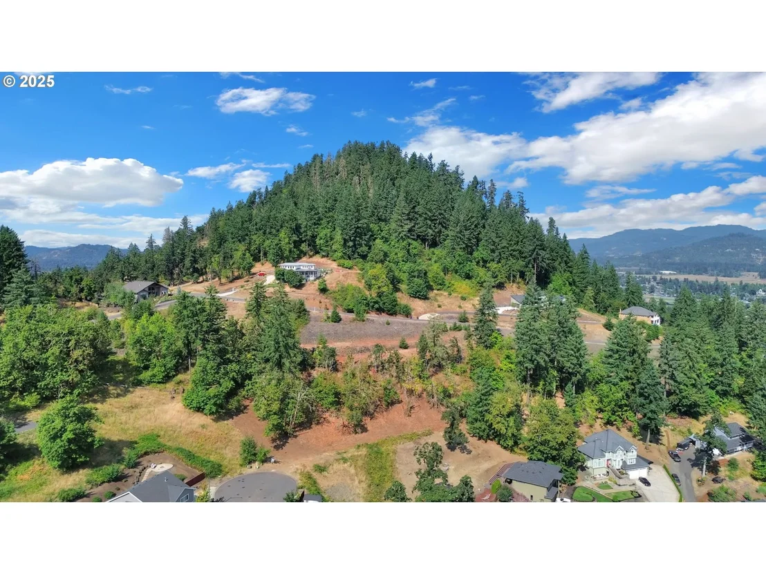 Photo of Forest Ridge