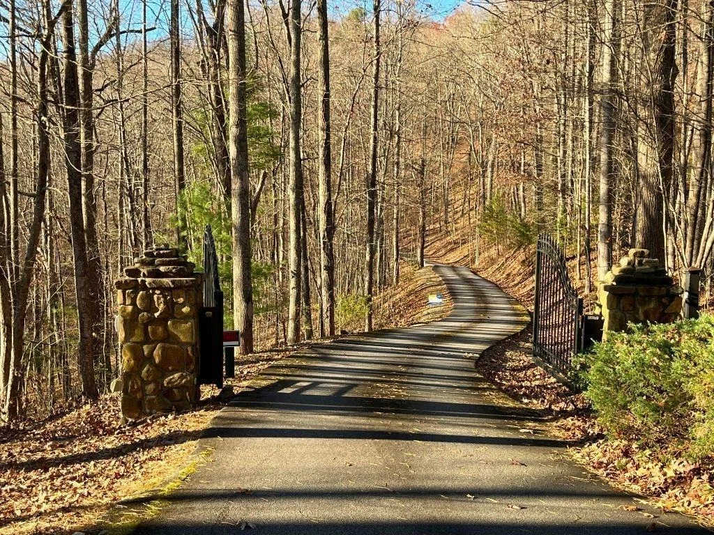 Photo of LOT #2 Forest Canopy Way