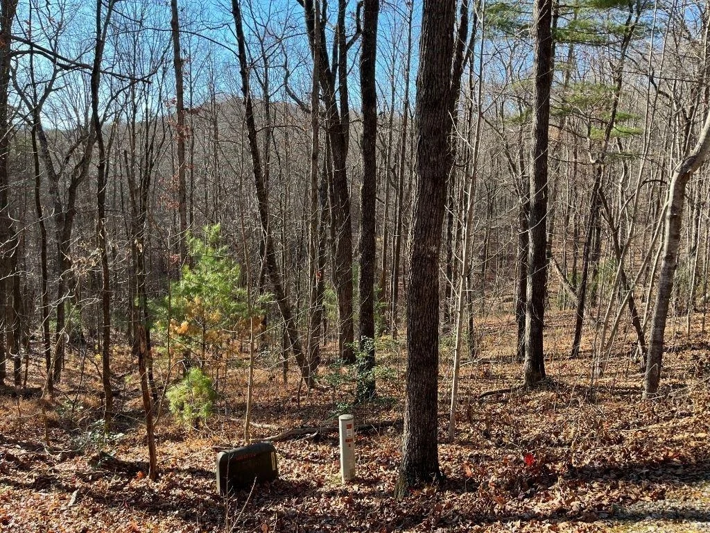 Photo of LOT #1 Forest Canopy Way